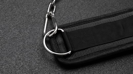 Rogue Echo Dip Belt – Durable Weighted Dip & Pull-Up Belt | Rogue